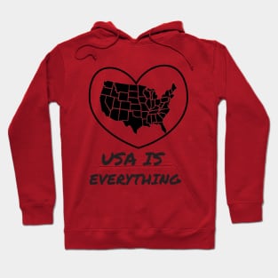 USA IS  EVERYTHING Hoodie